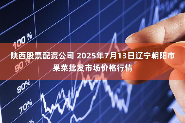 陕西股票配资公司 2025年7月13日辽宁朝阳市果菜批发市场价格行情